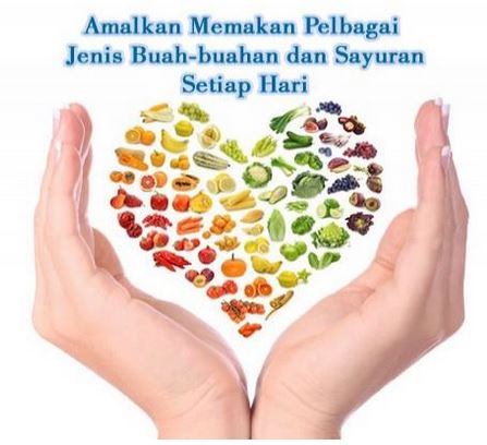 Panduan Diet Malaysia